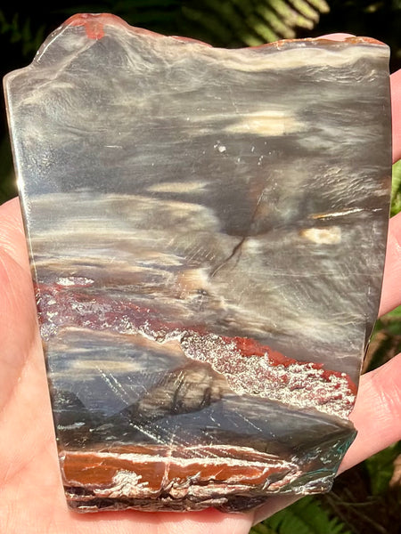Gorgeous Cherry Creek Jasper Plate