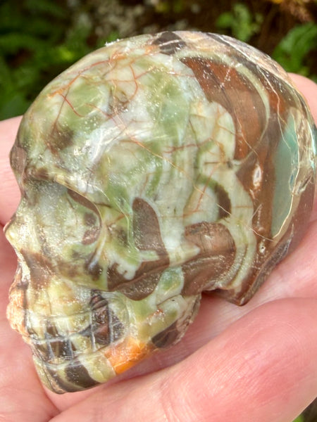 Money Agate Skull