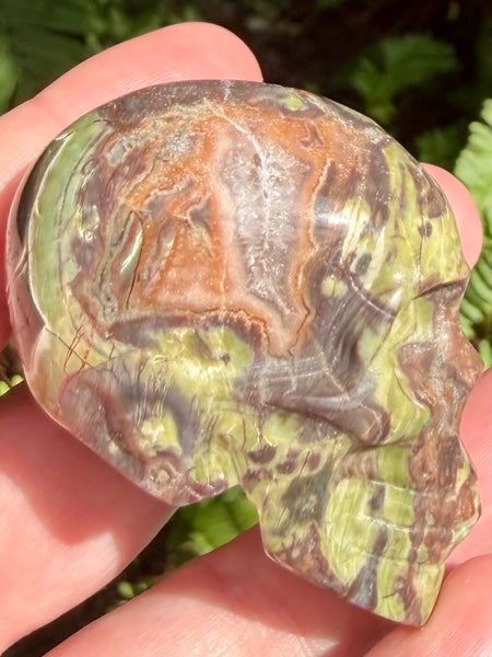 Money Agate Skull - Morganna’s Treasures