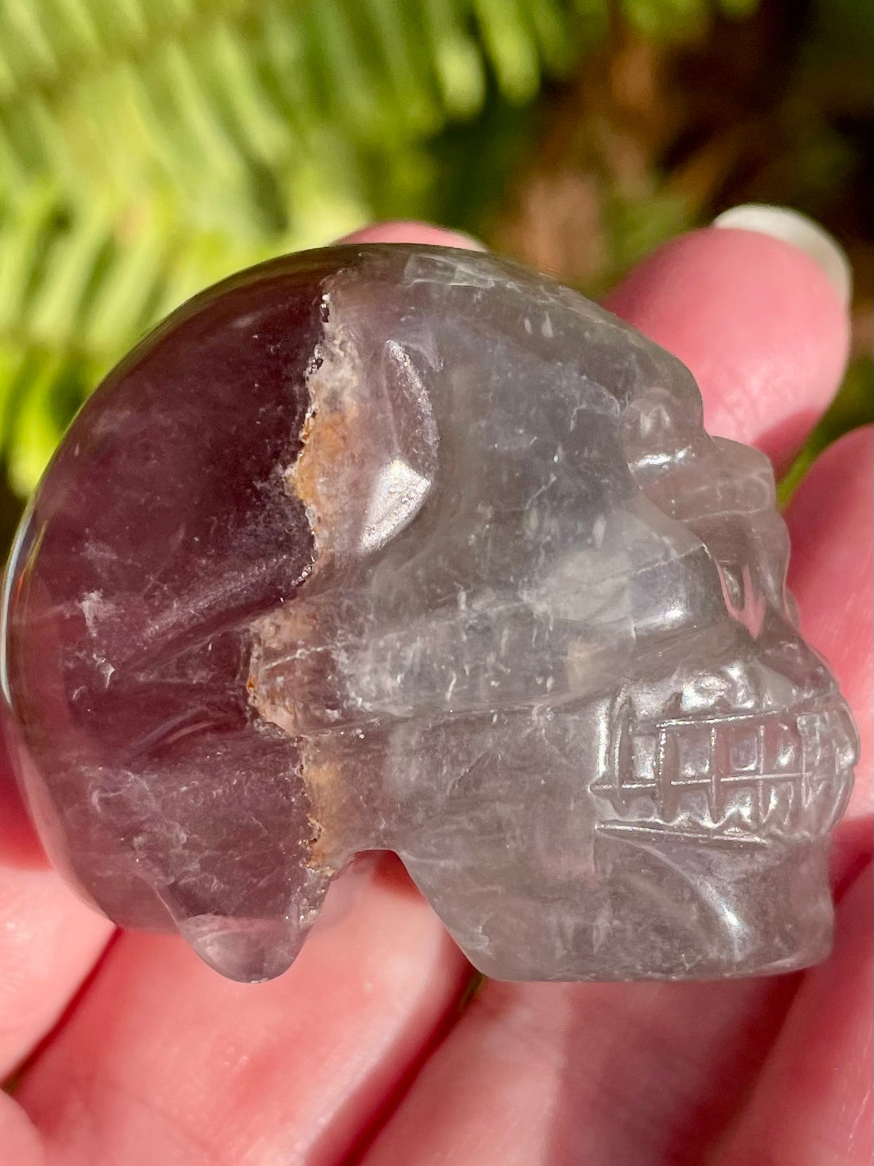 Carved Fluorite Skull - Morganna’s Treasures 