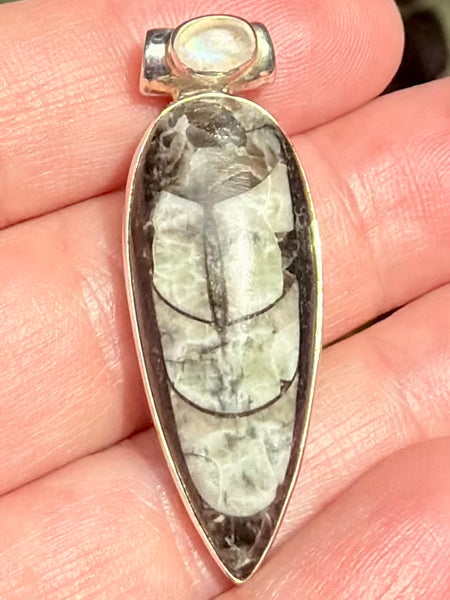 Gorgeous Orthoceras Fossil and Rainbow Moonstone Pendant - Morganna’s Treasures