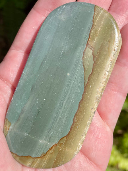 Succor Creek Picture Jasper Palm Stone - Morganna’s Treasures