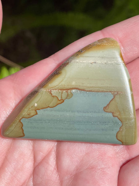 Succor Creek Picture Jasper Palm Stone - Morganna’s Treasures