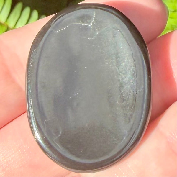 Black Obsidian Palm Stone - Morganna’s Treasures