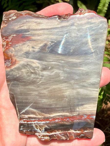 Gorgeous Cherry Creek Jasper Plate