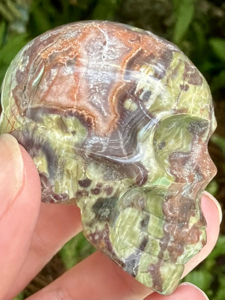 Money Agate Skull