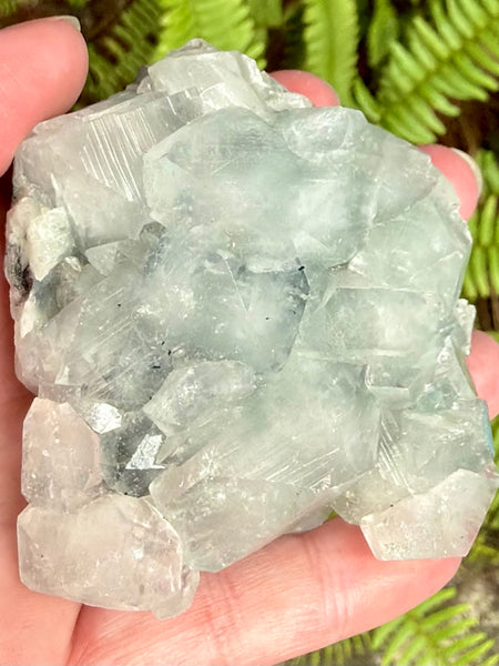 Apophyllite Cluster