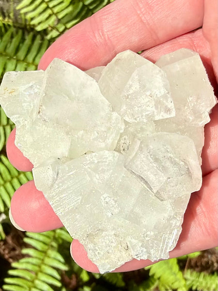 Apophyllite Cluster