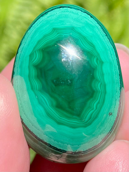 Beautiful Malachite Egg - Morganna’s Treasures
