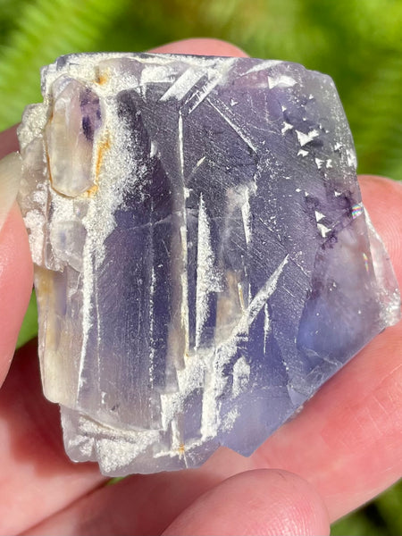 Fluorite Palm Stone - Morganna’s Treasures 