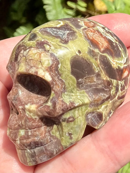 Money Agate Skull - Morganna’s Treasures