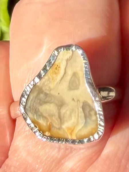 Rare Blue Forest Petrified Wood Ring Size 8 - Morganna’s Treasures