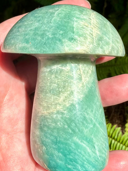 Stunning Amazonite Mushroom - Morganna’s Treasures
