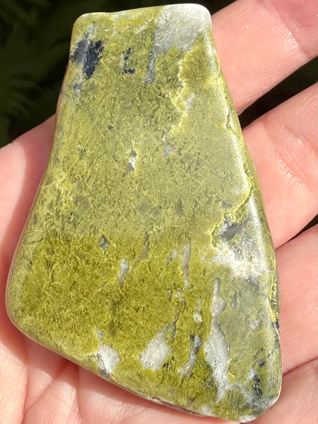 Epidote Palm Stone - Morganna’s Treasures