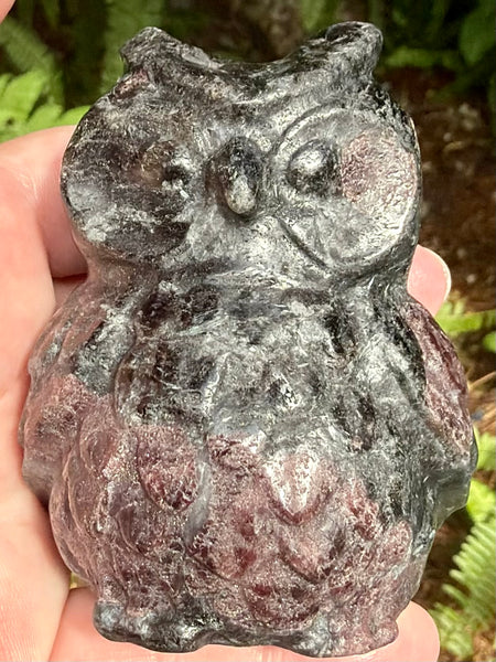 Large Garnet in Arfvedsonite Owl
