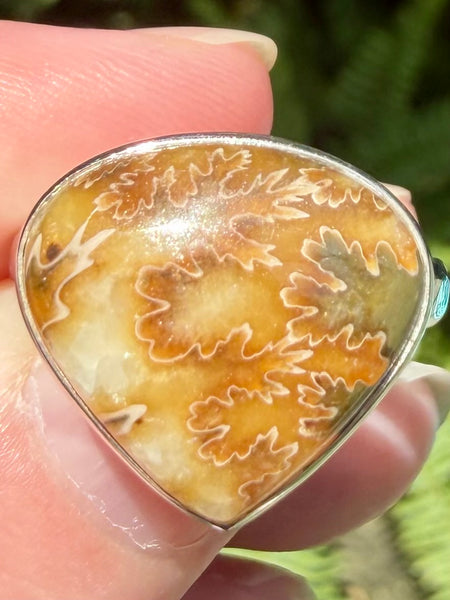Beautiful Sutured Ammonite Ring Size 7