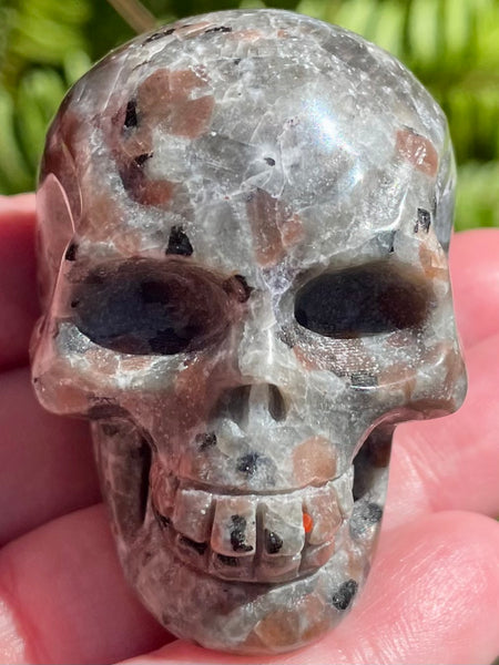 Carved Yooperlite (Fluorescent Sodalite)  Skull - Morganna’s Treasures 