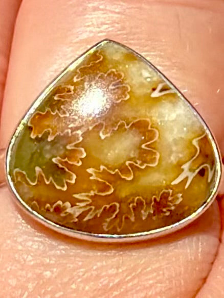 Beautiful Sutured Ammonite Ring Size 7