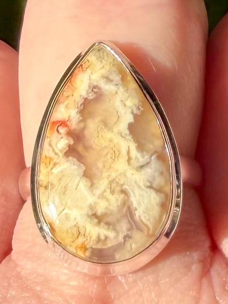 Graveyard Plume Agate Ring Size 8 - Morganna’s Treasures