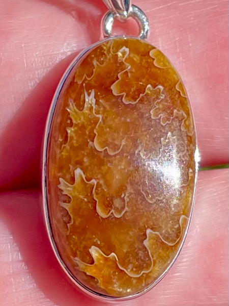 Sutured Ammonite Pendant - Morganna’s Treasures