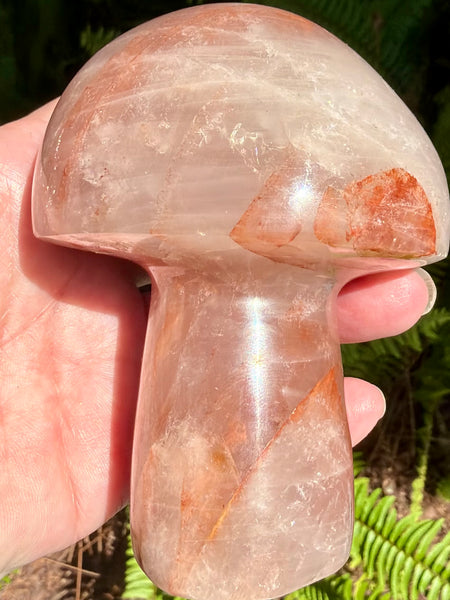 Beautiful Hematoid Quartz Mushroom - Morganna’s Treasures