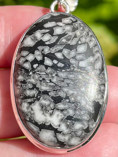 Pinolith Jasper Pendant - Morganna’s Treasures 