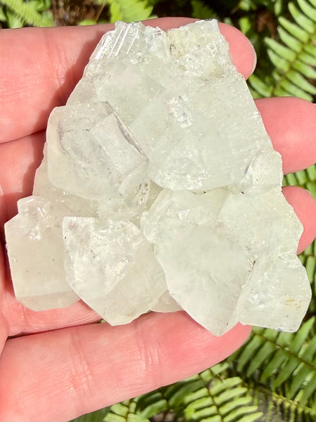 Apophyllite Cluster