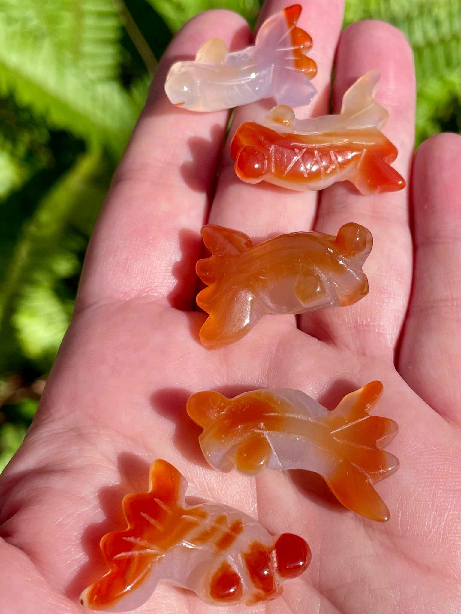 Carnelian Goldfish - Morganna’s Treasures 