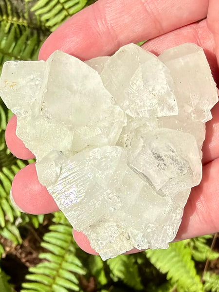 Apophyllite Cluster