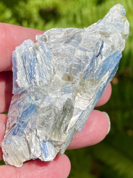 Rough Blue Kyanite - Morganna’s Treasures 