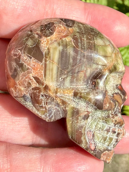 Money Agate Skull - Morganna’s Treasures