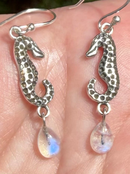 Rainbow Moonstone Seahorse Earrings - Morganna’s Treasures