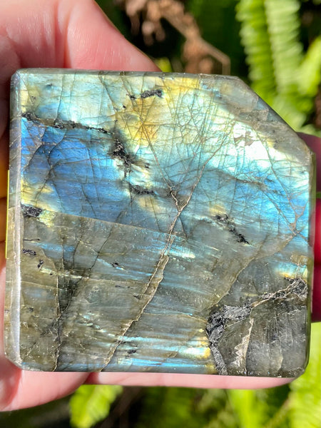 Labradorite Slab - Morganna’s Treasures