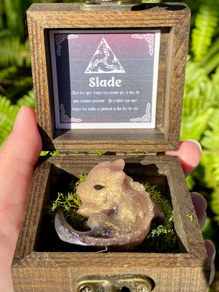 “Slade” Dragon Protector