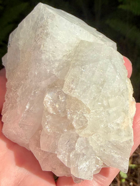 Large Apophyllite Cluster - Morganna’s Treasures