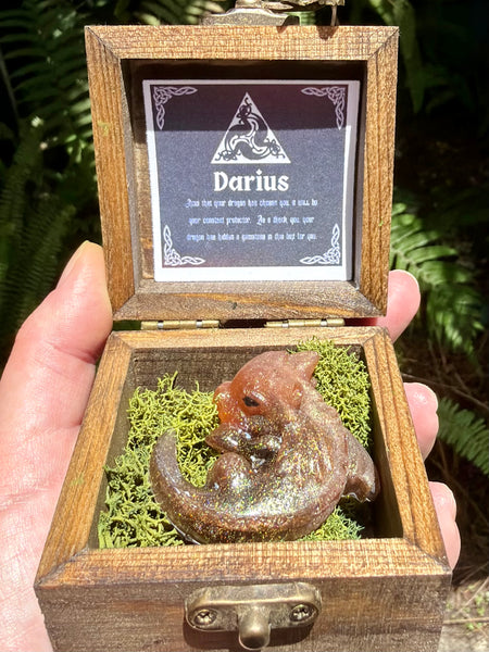 “Darius” Dragon Protector