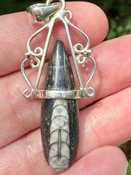 Gorgeous Orthoceras Fossil Pendant