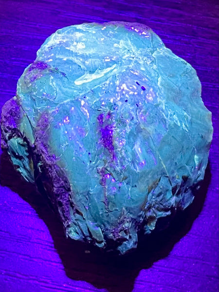 Fluorescent Blue Amber Palm Stone - Morganna’s Treasures 