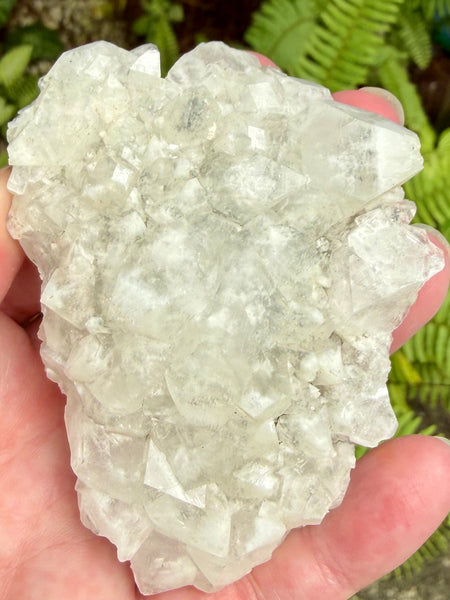 Apophyllite Cluster