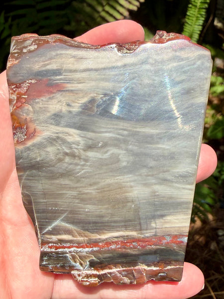 Gorgeous Cherry Creek Jasper Plate
