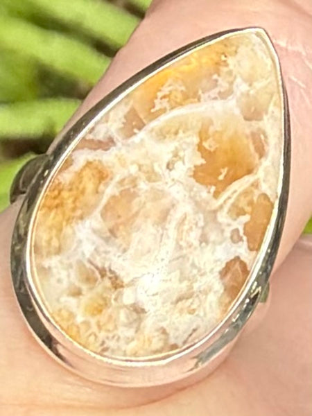 Graveyard Plume Agate Ring Size 6 - Morganna’s Treasures
