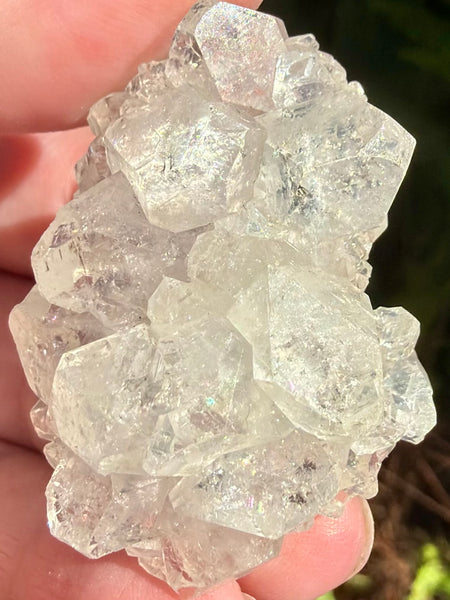 Apophyllite Cluster - Morganna’s Treasures