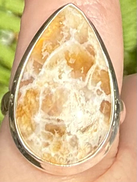 Graveyard Plume Agate Ring Size 6 - Morganna’s Treasures