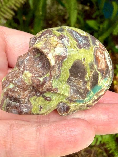 Money Agate Skull