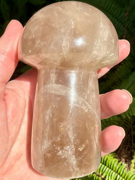 Gorgeous Smoky Quartz Mushroom - Morganna’s Treasures