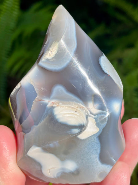 Orca Agate Flame - Morganna’s Treasures