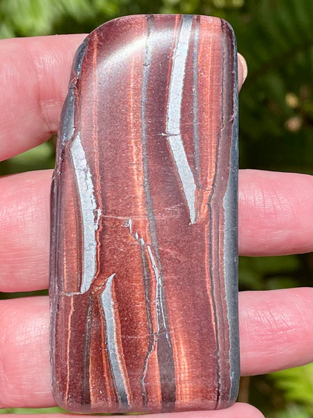 Red Tigers Eye Palm Stone from Africa - Morganna’s Treasures 