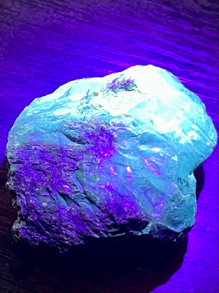 Fluorescent Blue Amber Palm Stone - Morganna’s Treasures 