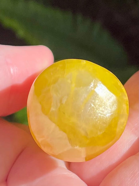 Yellow Aura Selenite Spiral Wand - Morganna’s Treasures