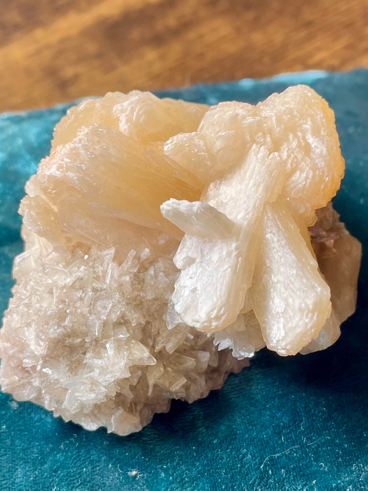 Stilbite with Heulandite Crystal Cluster - Morganna’s Treasures